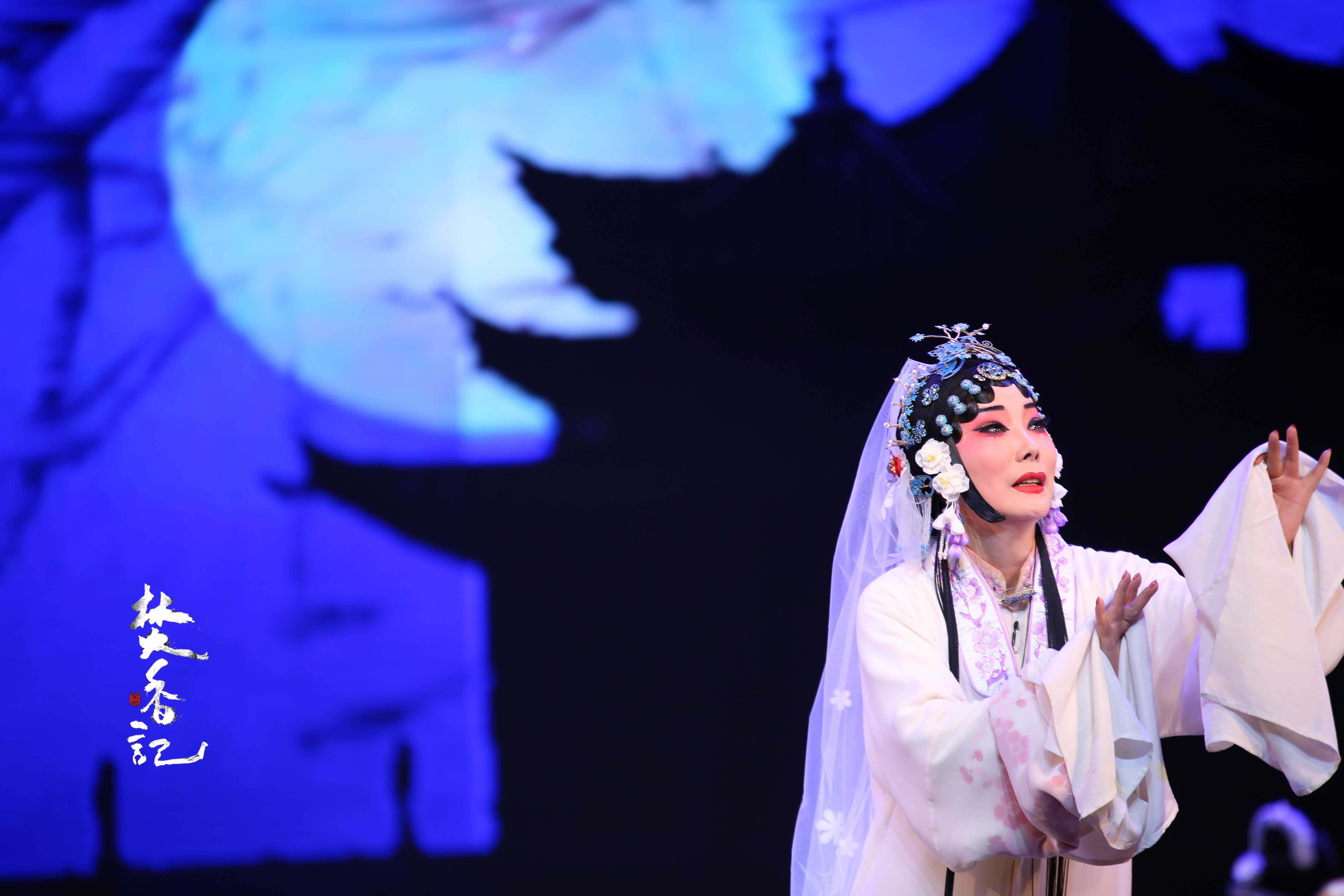 由国家一级演员,"梅花奖"得主 a data-lemmaid="5794878">齐爱云 /a>