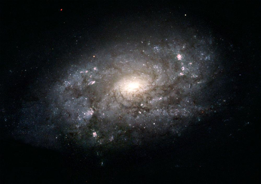 可以看到暗物质围绕星系团形成了圆环