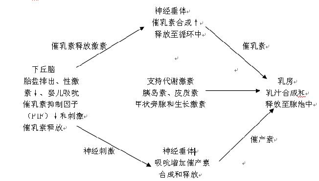  p>奶阵是女性在哺乳时期,突然 a href="#" data-lemmaid="315383">