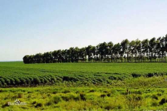  p>通榆县,隶属于白城市,位于吉林省西部, a target="_blank" href="