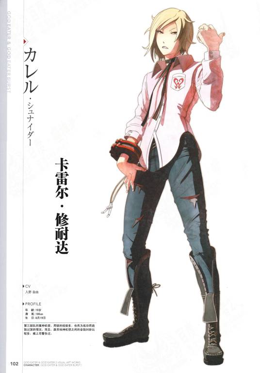 卡雷尔・修奈达_百度百科