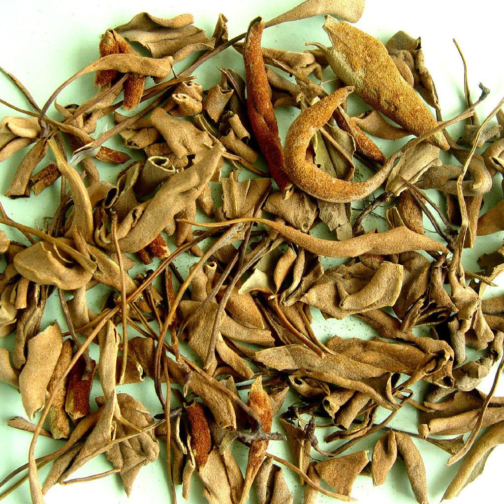  p data-id="gnbimwywl6">石韦,中药名.