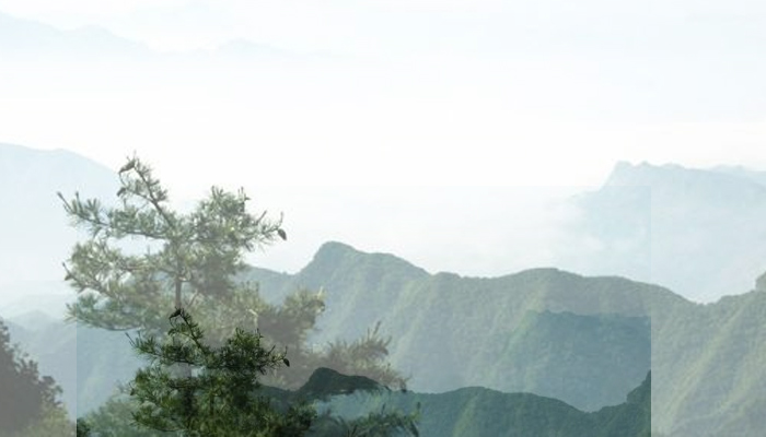 山阳苍龙山森林公园