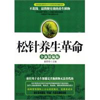 松针养生革命