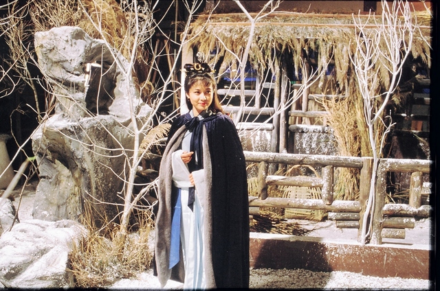  p>《孤城客》是1982年上映的香港电视剧,由 a href="#" data-lemmaid