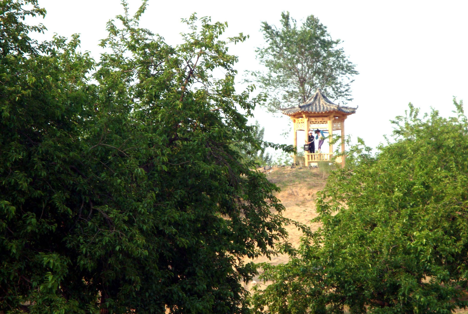 商丘森林公园