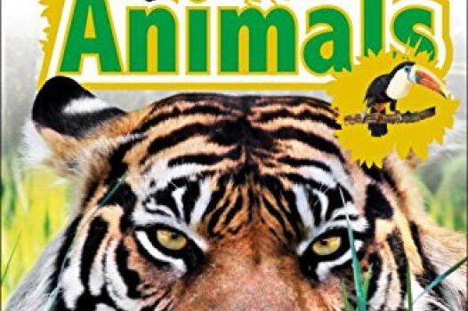 dk readers l1: jungle animals