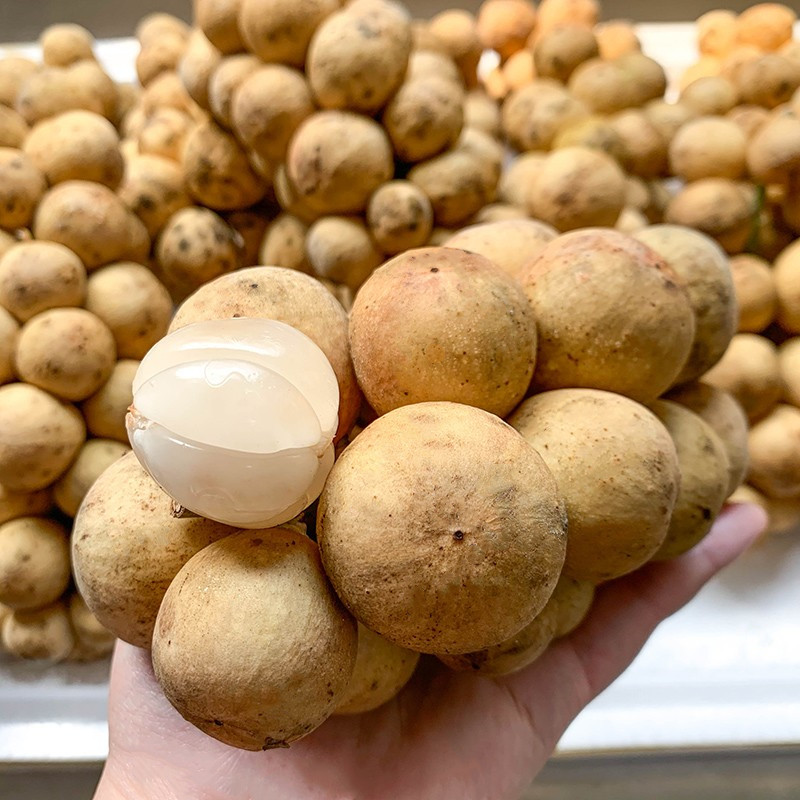  p data-id="gnwq8hq8ix">又名"杜古",兰桑内,龙宫果,香果,佛头果,一