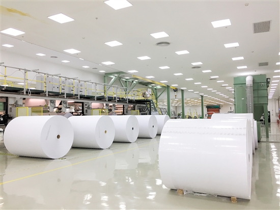 亚太森博(广东)纸业有限公司