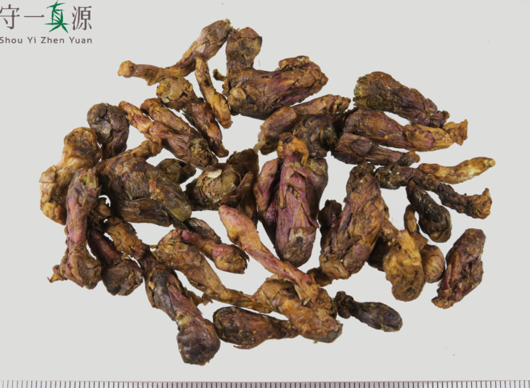 款冬花 | 没有伪品的止咳好药，无敌是多么寂寞_百科TA说