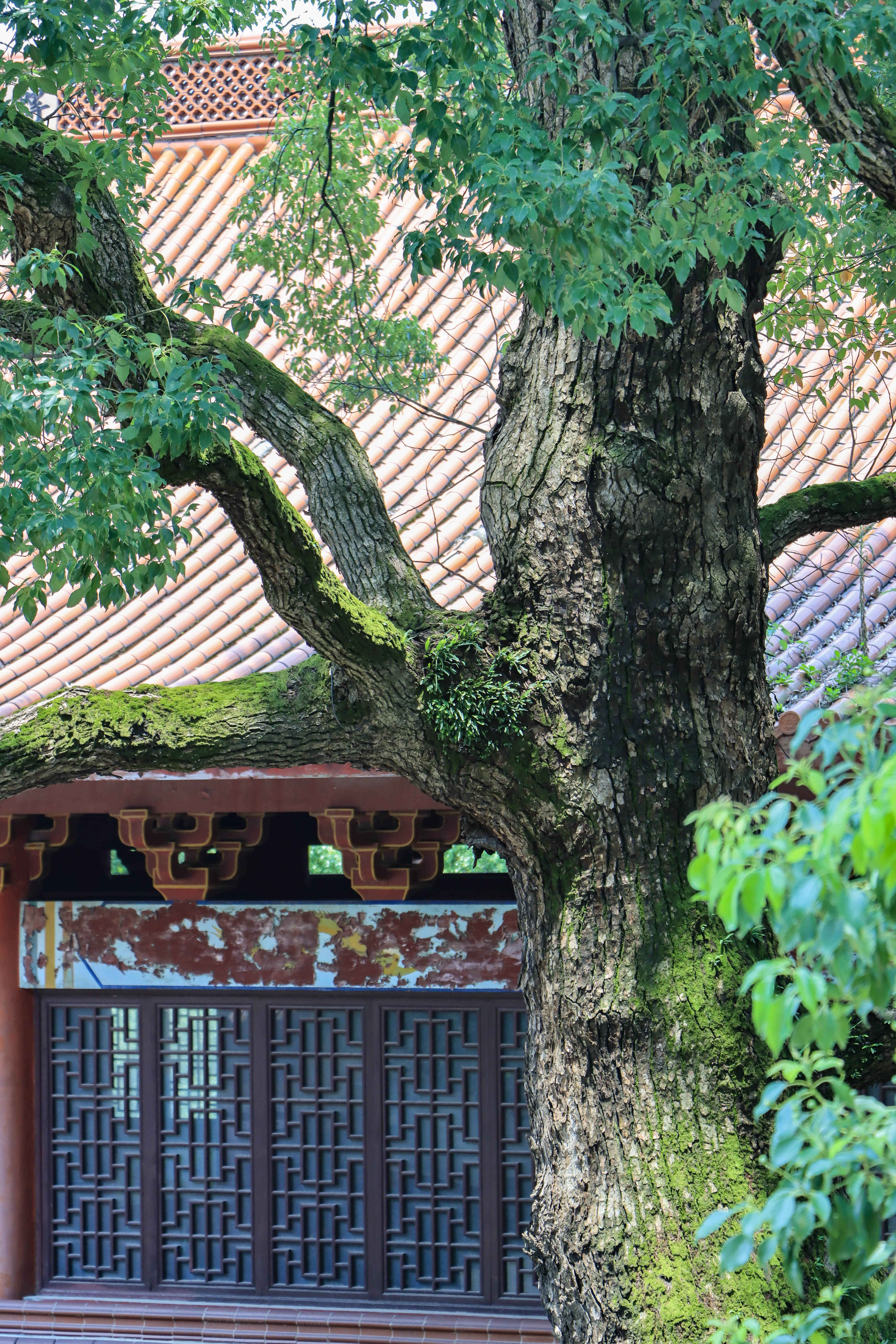 srx">地藏寺,浙江省 a target="_blank" href="/item/萧山市/6087443"