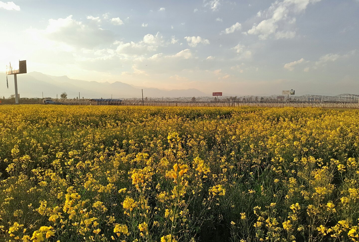 data-lemmaid="15626925">四川省 /a>凉山彝族自治州西昌市,地处 a