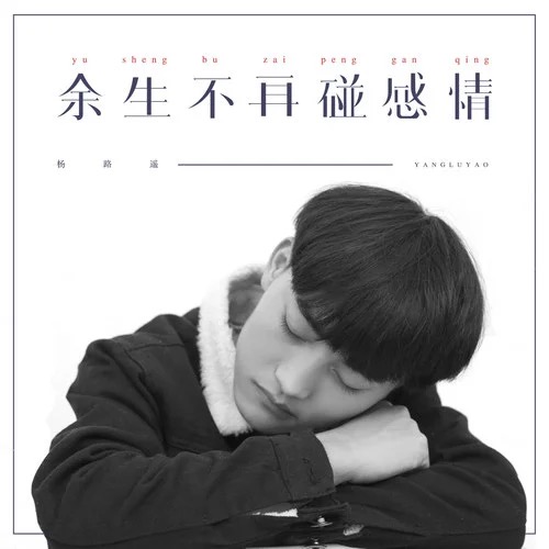 余生不再碰感情