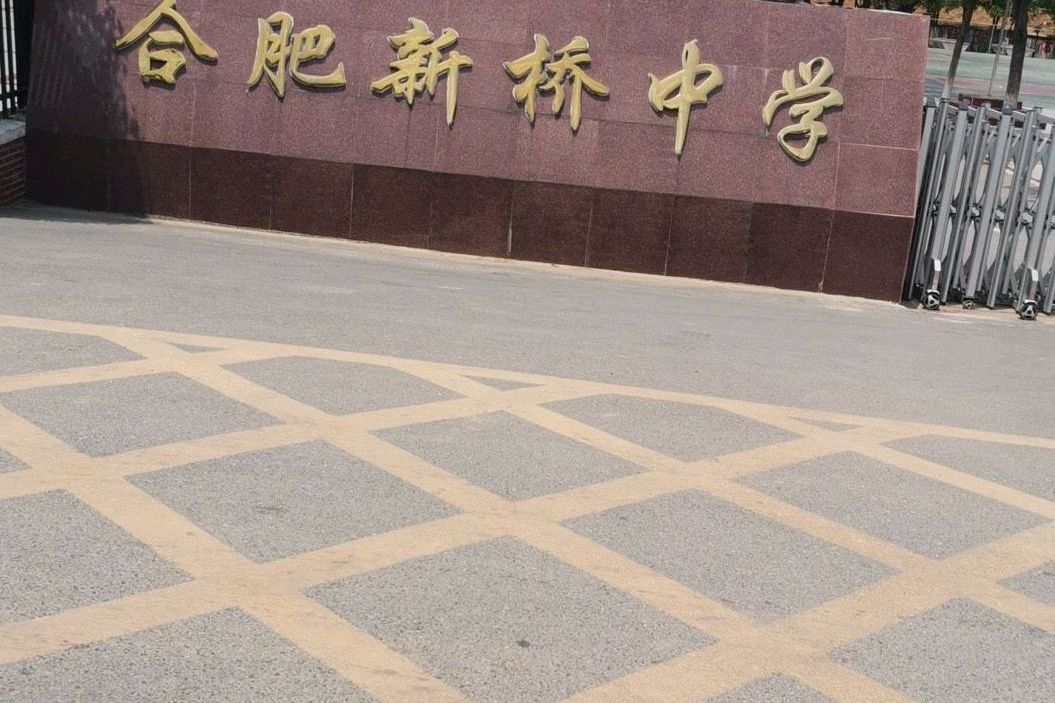 合肥新桥中学