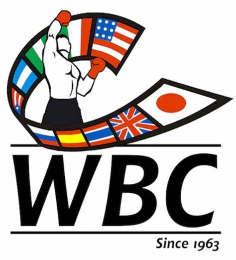  p>拳击(英文:boxing,法文:boxe)是戴拳击手套进行格斗的运动项目.