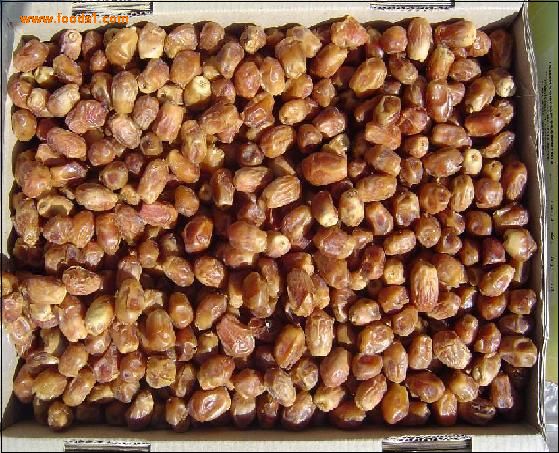  p>伊拉克蜜枣,棕榈科 a target="_blank" href="/item/刺葵属">刺葵