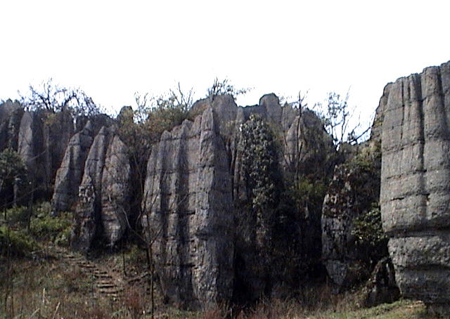 庙山生态旅游开发区