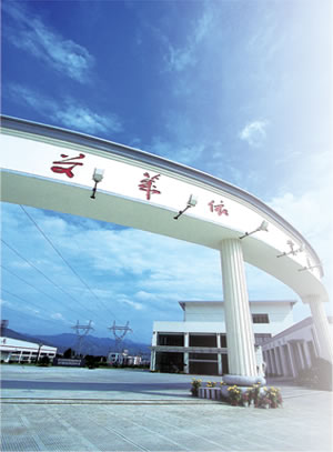  p data-id="gnawjs54wk">艾莱依集团始创于1997年底,总部设在 a