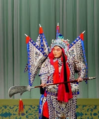  p>范永亮,1962年出生,毕业于中国戏曲学院,上海京剧院 a target="