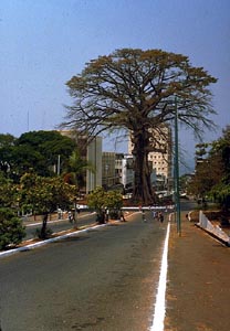 弗里敦(英文:freetown), a target="_blank" href="/item/塞拉利昂