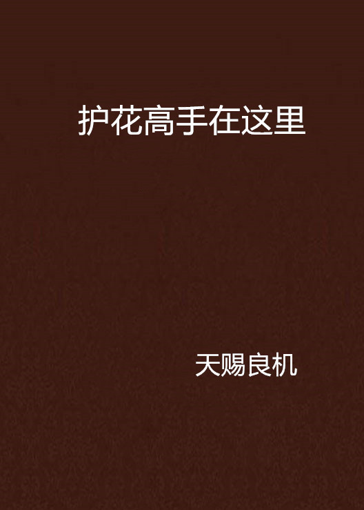 护花高手在这里