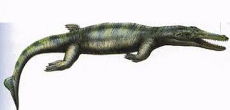  p>平喙鳄也称为地蜥鳄,是一种生活于海洋中的 a href="#" data-lemma