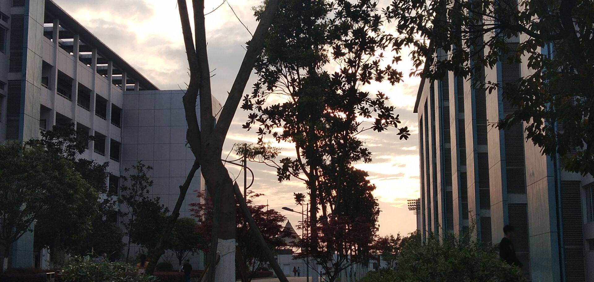 重庆市潼南实验中学校