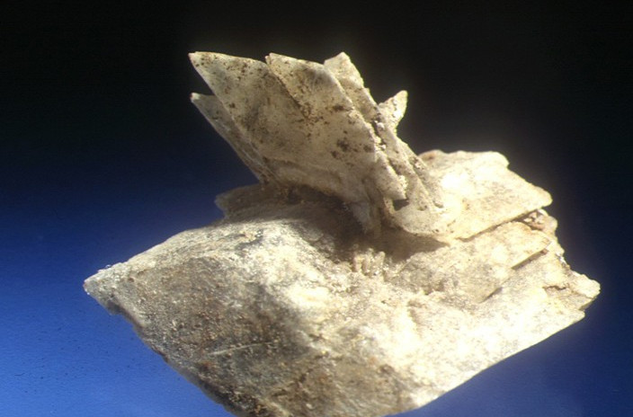  p>钙芒硝是钙芒硝矿床中唯一的原生矿石矿物.