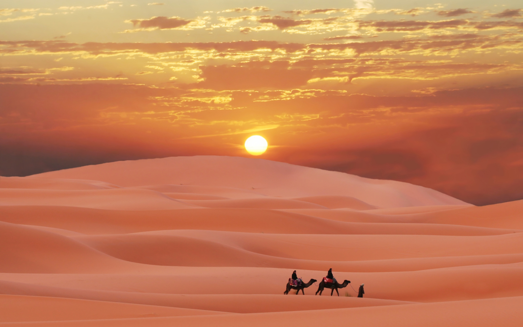 target="_blank" href="/item/撒哈拉">撒哈拉 /a>沙漠(sahara desert