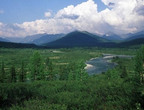  p>科米原始森林位于俄罗斯乌拉尔山麓,面积32800平方千米,是欧洲现存