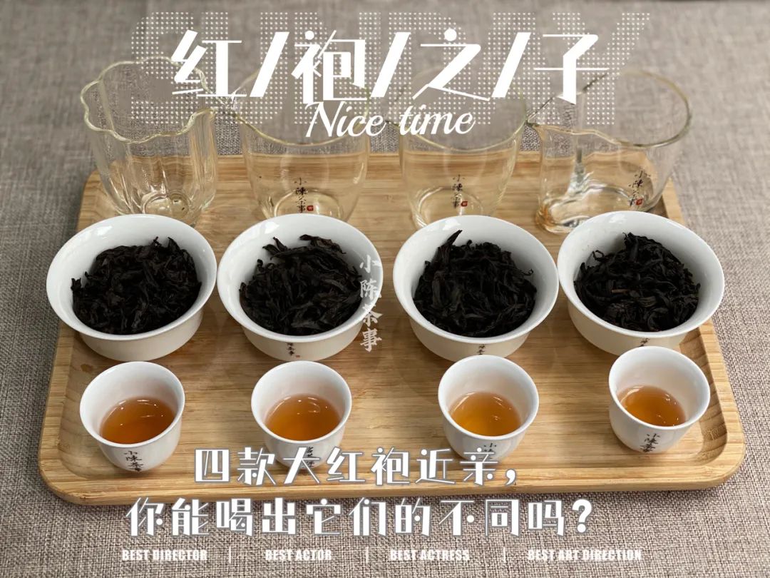 诧异：紫红袍、小红袍、北斗、奇丹，它们都是大红袍的亲儿子？_百科TA说