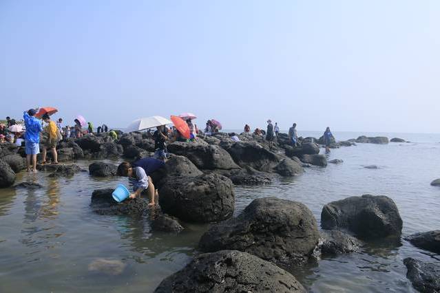 龙口桑岛旅游景区