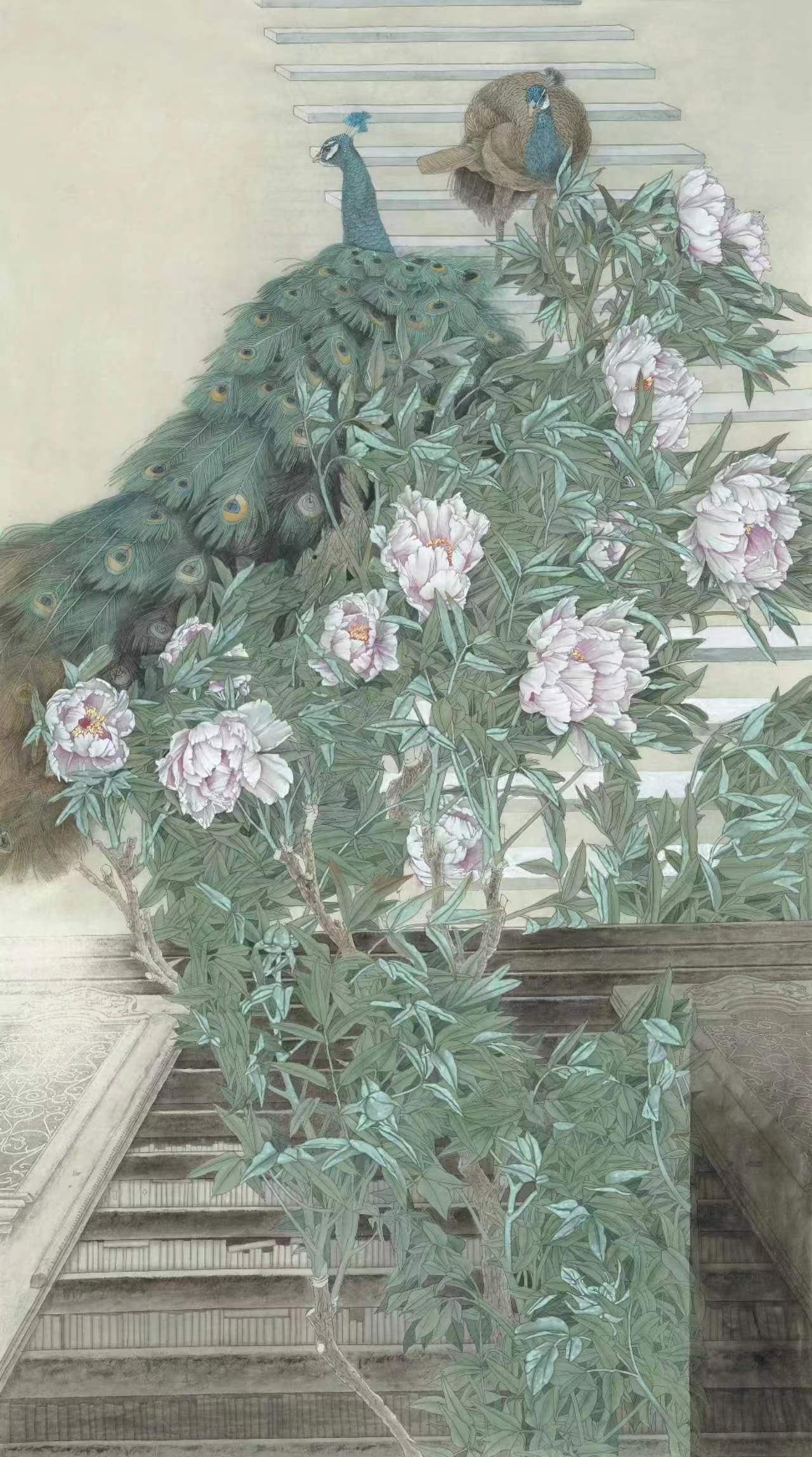 赵丽