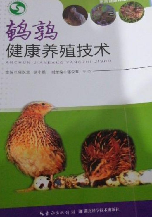 鹌鹑健康养殖技术