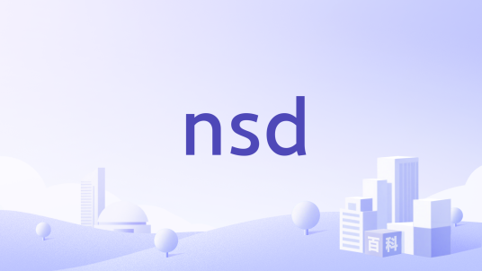 nsd（日本公司）_百度百科
