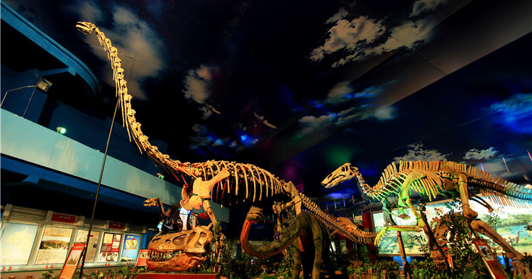 山东诸城恐龙博物馆
