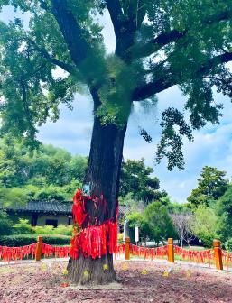 张謇纪念馆图片