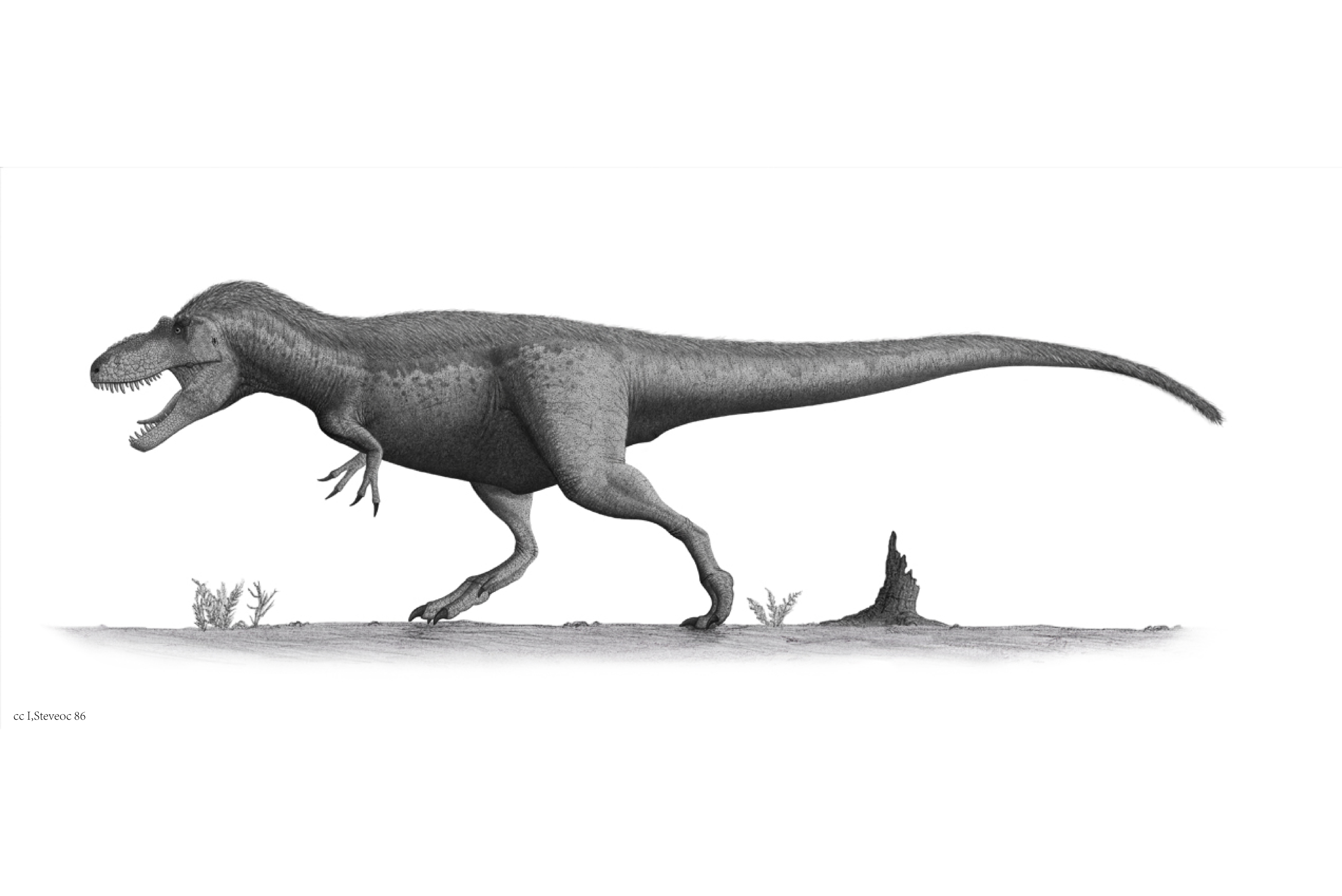  p data-id="tcdtb1yvywjt">惧龙是非常著名的