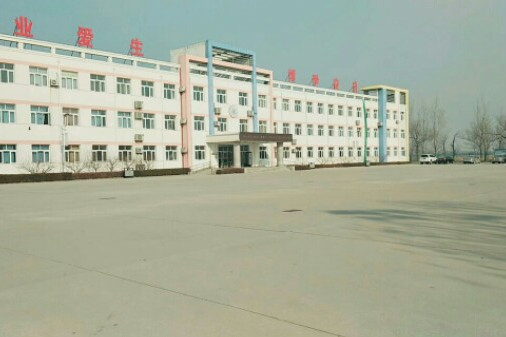 大丰堆镇中学