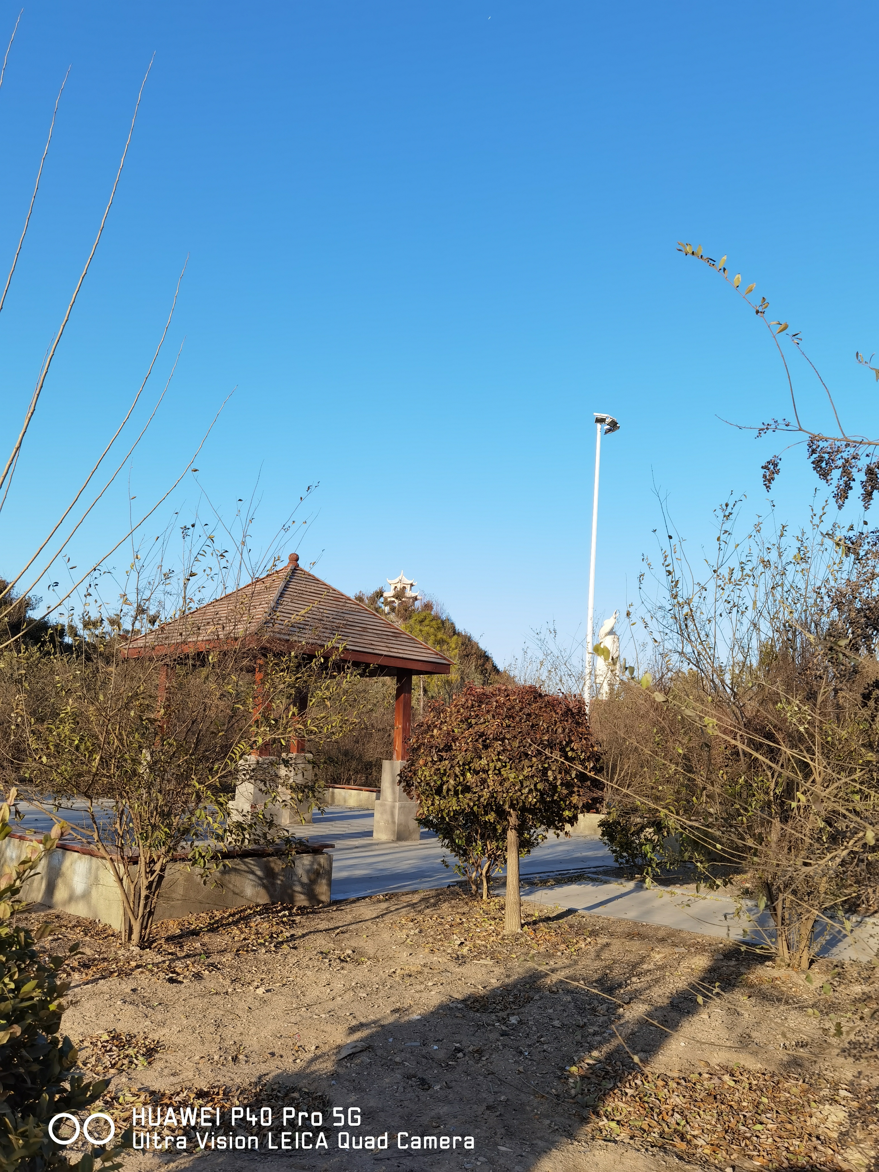  p>龙池头村,位于河南省西华县红花集镇. /p>