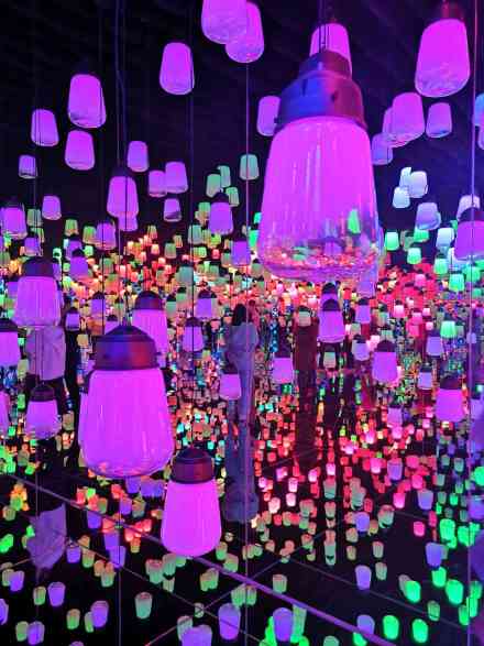 数字美术团队teamLab作品