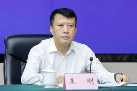 王刚（中国建设银行股份有限公司大连市分行行长）_百度百科