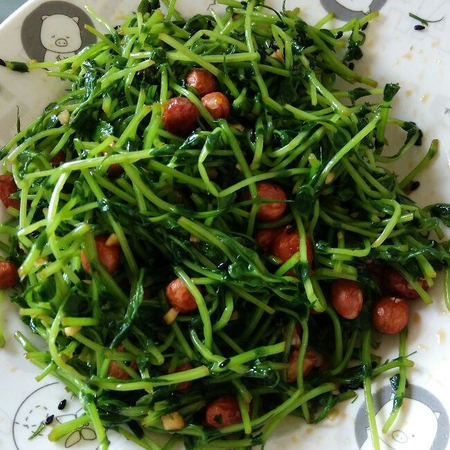 拌豌豆苗