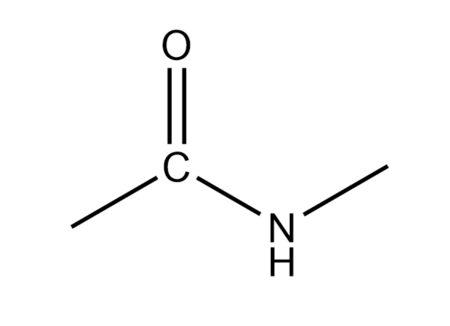 即conh氨基酸借肽键联结成多肽链肽键是蛋白质中普遍存在的特殊结构