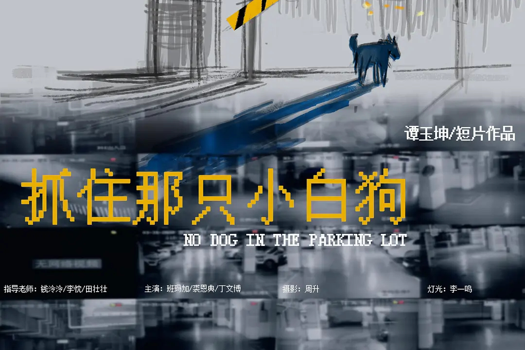  p>《抓住那只小白狗》是谭玉坤执导,班玛加,裘恩典,丁文博主演的电影