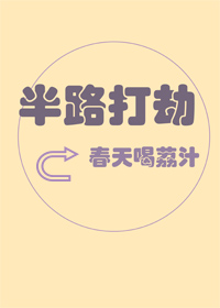 半路打劫