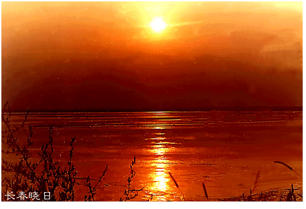  p data-id="gnyuxthkt5">《晓日》是唐代诗人