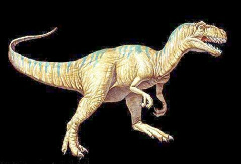 腔躯龙(antrodemus)