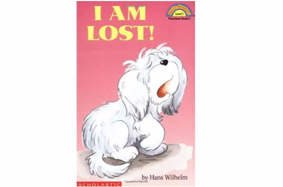 我迷路了 i am lost