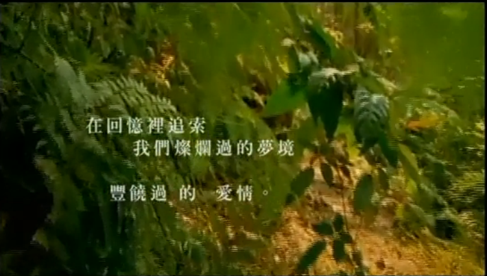 热带雨林歌曲(热带雨林歌曲歌词)